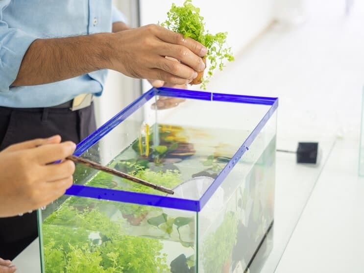 10 liter tank