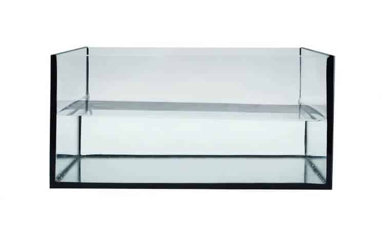 Sette opp 10 Gallon Tank Photo