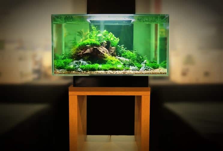 30 gallon tankutstyr