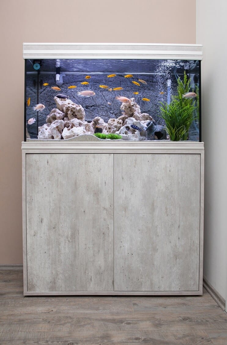 Sette opp en tank på 30 liter