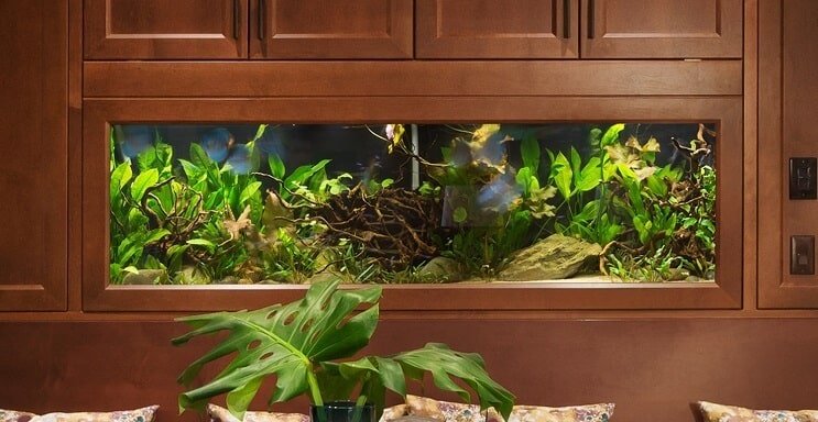 40 gallon akvarium