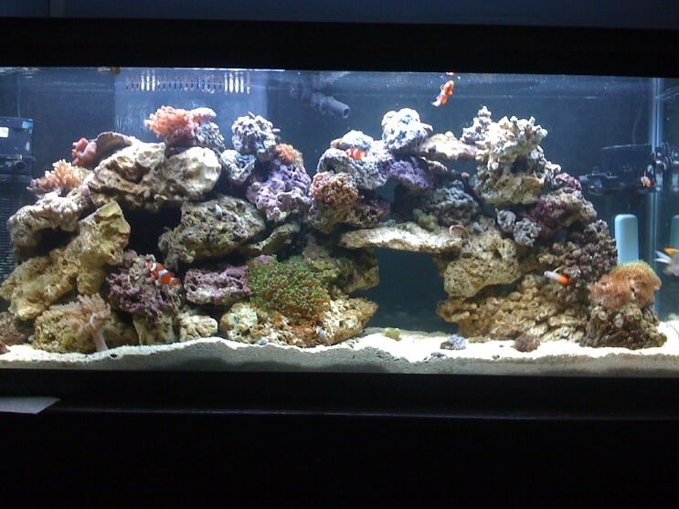 55 gallon revetank
