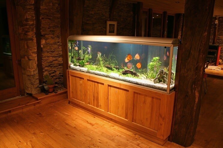 Discus Tank UV-sterilisator