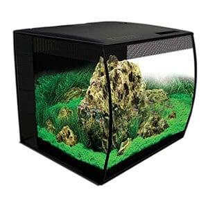 Beste 15 gallons startpakke