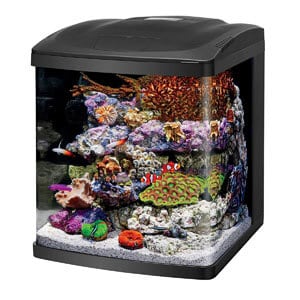 Beste premium 15 gallon tank