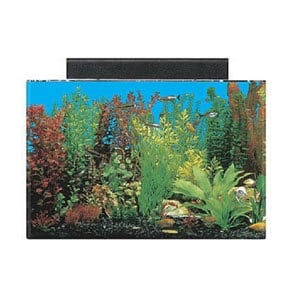 Beste 20 gallons akvarium