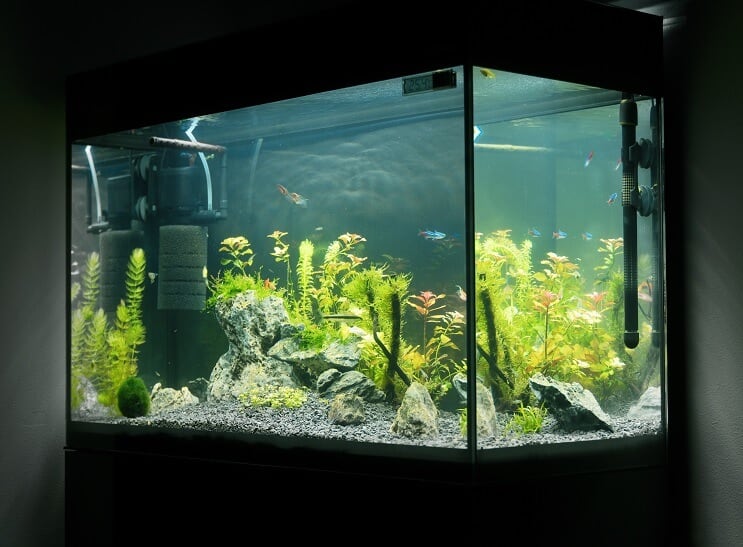 20 gallon langt utstyr