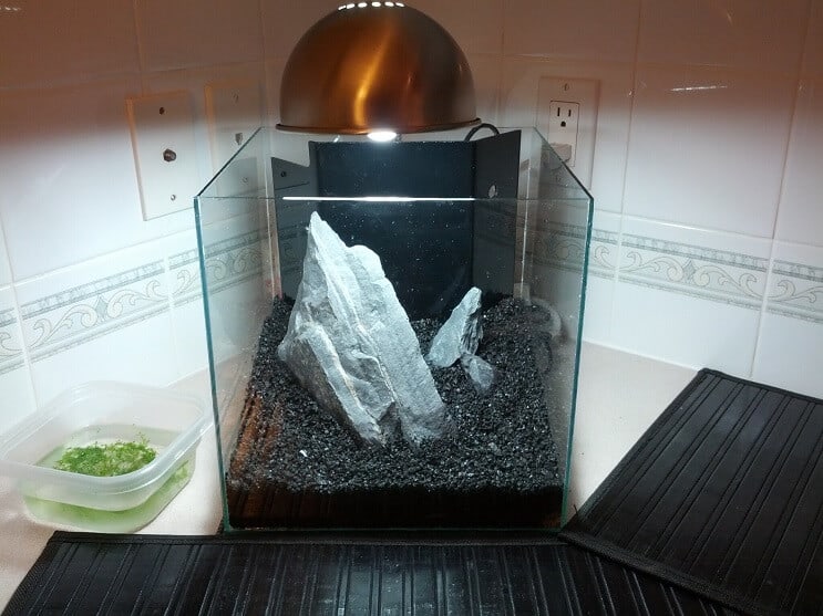 3 gallon tankoppsett