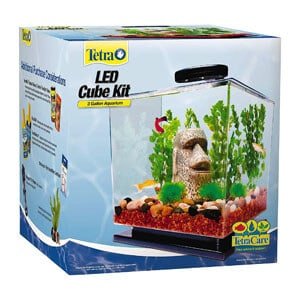 Tetra kubeformet akvarium