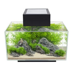 Stilig 6 Gallon tank