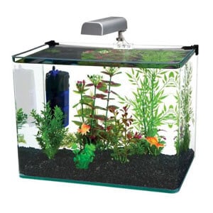 Penn Plax buet akvarium