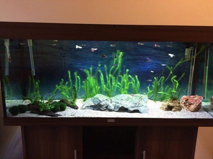 Ferdig tank