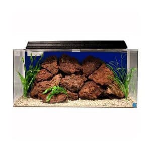 Beste 50 gallon startpakke