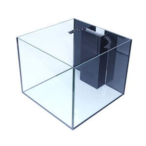 Beste marine eller rev 50 gallon tank