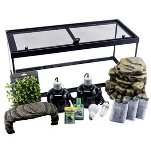 Beste Turtle Starter Kit 