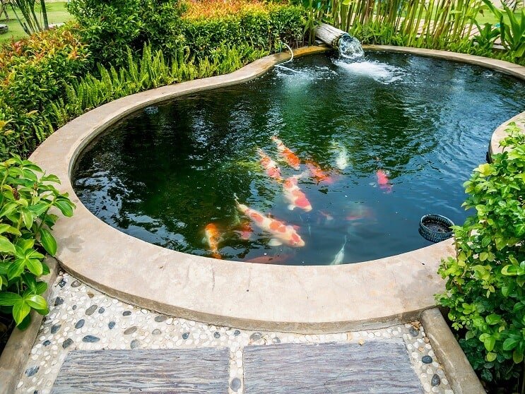 Koi Pond Utstyr