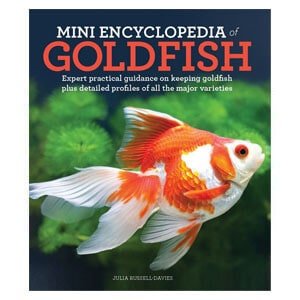 Et mini-leksikon for gullfisk
