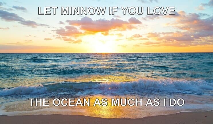 La Minnow