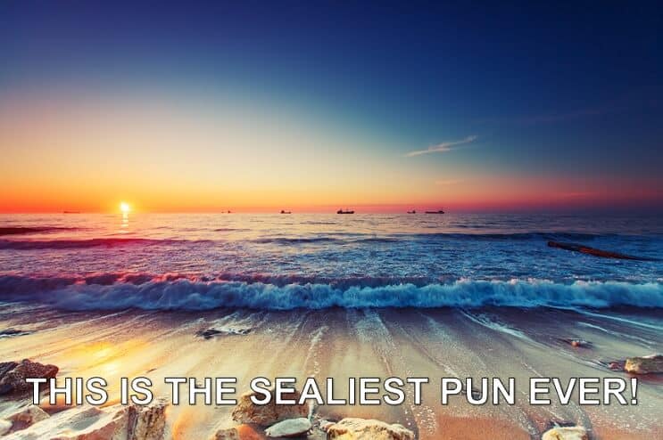 Sealiest Pun noensinne