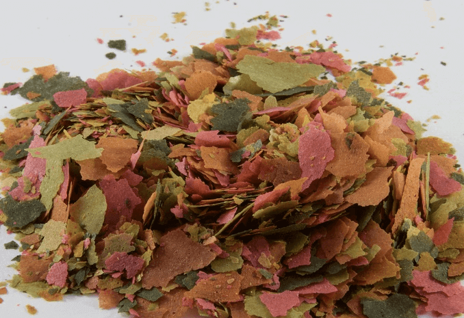 Fish Flake Food