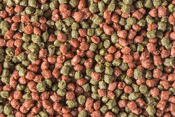Tørkede pellets