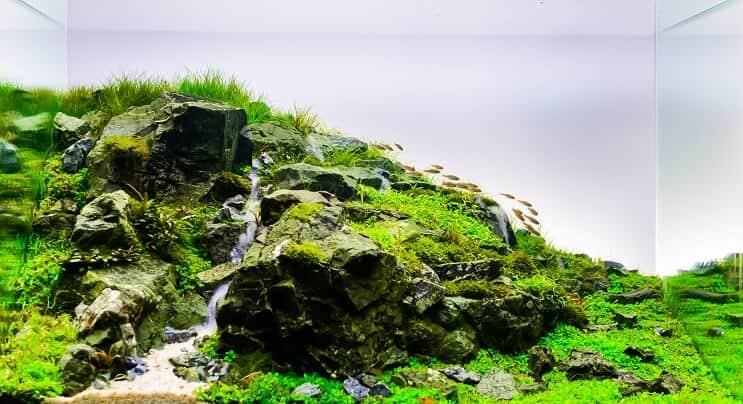 Aquascape akvarium