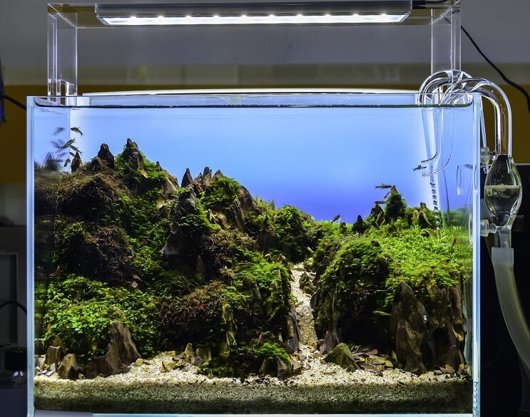 Aquascaped akvarium