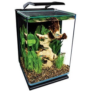 Lite akvarium Ideell for benkeplate Paludarium