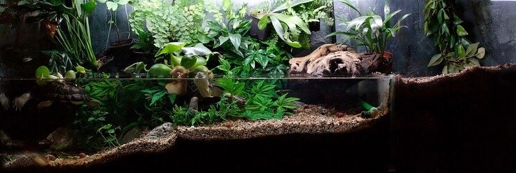 Paludarium planter